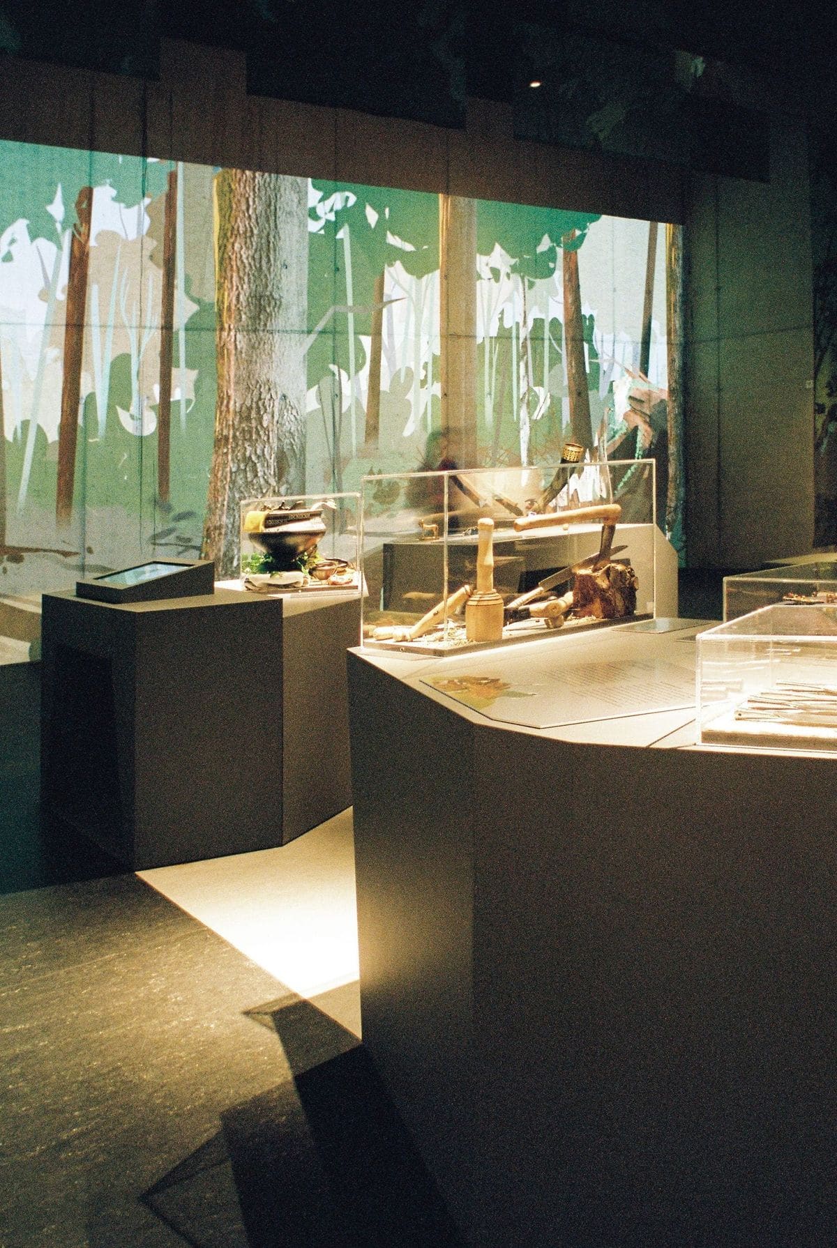 Keltenpark Otzenhausen — Ausstellungsarchitektur