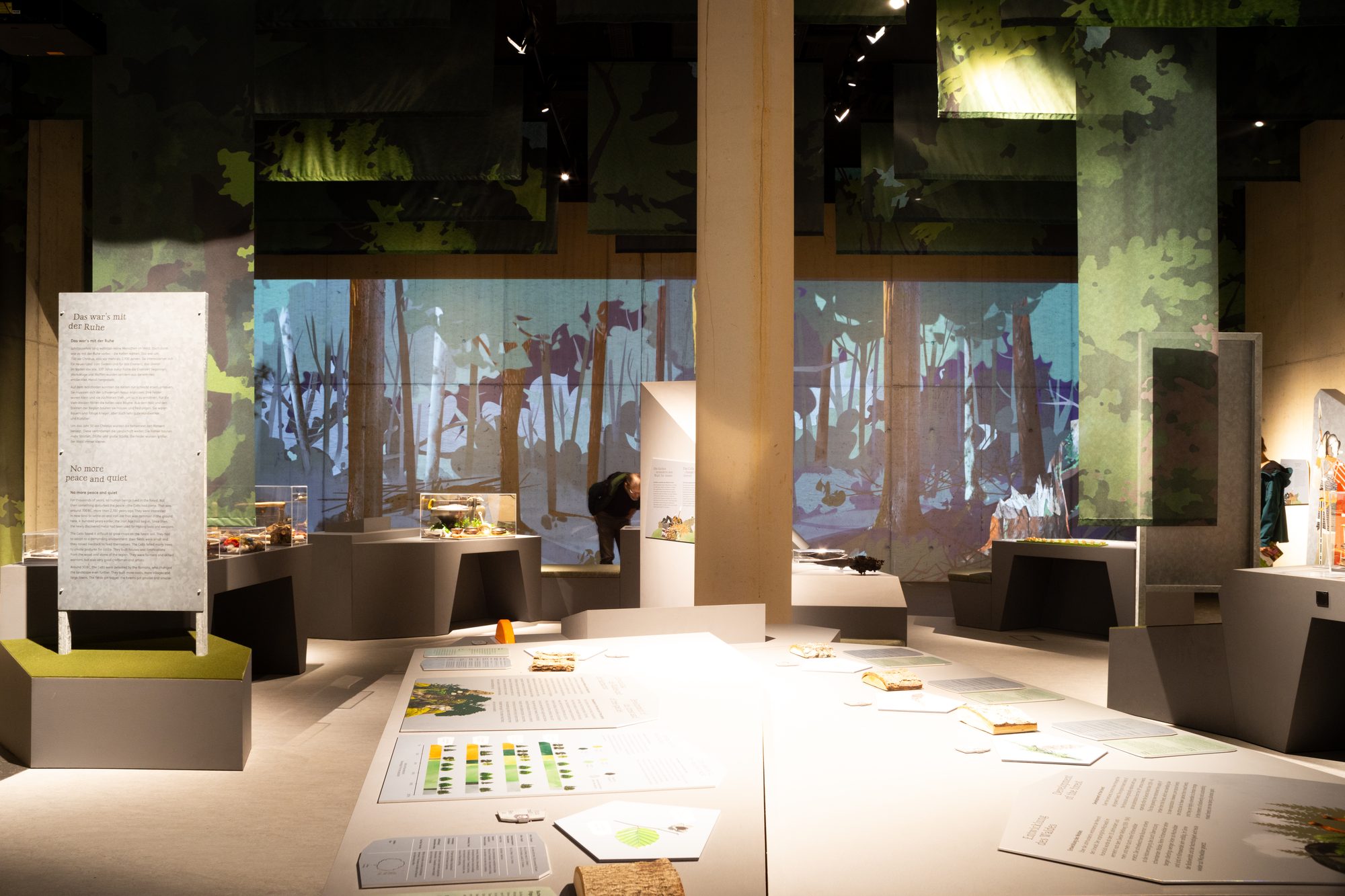 Keltenpark — installierter Ausstellungsraum mit umlaufender Waldprojektion und Besucher an einem Exponat